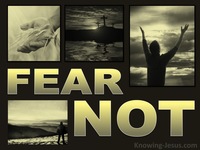 The Folly of Fear